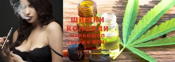 амф Дмитров