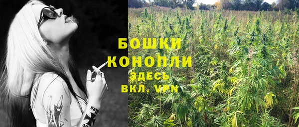 амф Дмитров