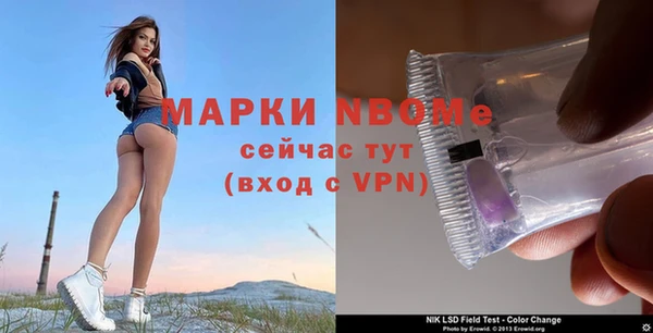 амф Дмитров