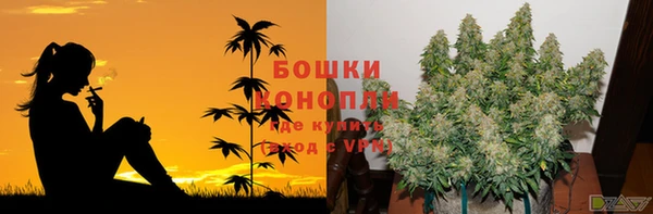 ГАЛЛЮЦИНОГЕННЫЕ ГРИБЫ Дмитровск