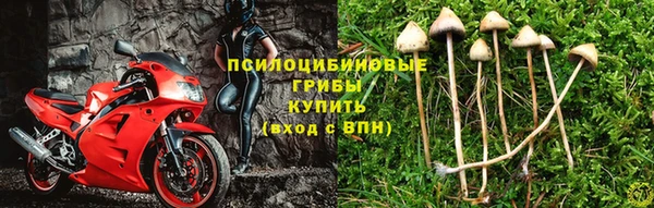 соль курить ск Дмитриев