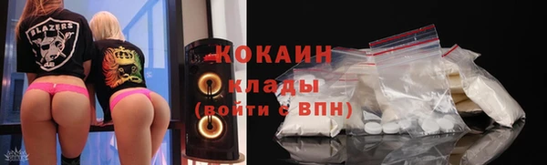 амф Дмитров