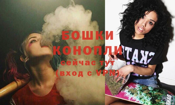 ГАЛЛЮЦИНОГЕННЫЕ ГРИБЫ Дмитровск