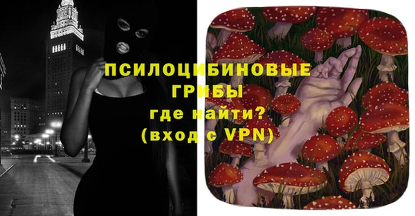 ГАЛЛЮЦИНОГЕННЫЕ ГРИБЫ Дмитровск